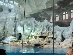 -帝企鹅自助餐厅•儿童岛•真企鹅(长隆企鹅酒店)