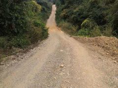 -长虫山生态公园风景林