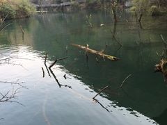 -郧西五龙河风景区