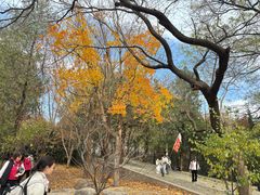 -国家植物园南园