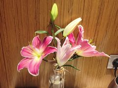 -珠海中海雅高铂尔曼酒店