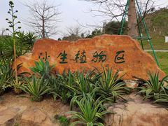 -东莞植物园