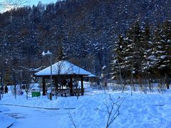 -横道河子东北虎林园