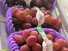 -马陆小张葡萄园农家乐