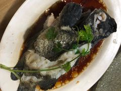 -岛中岛·海鲜大排档·万宁老字号(东澳店)