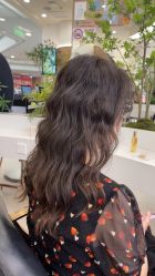 -GANO HAIR 