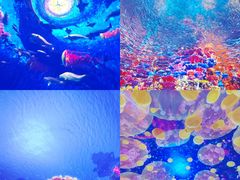 -海合安武汉极地海洋公园