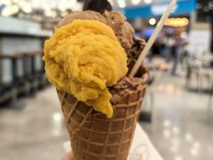 -米兰马尔彭萨国际机场