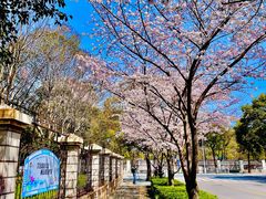 -永乐路-路侧停车场