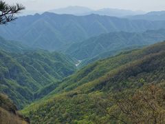 -牛背梁国家森林公园