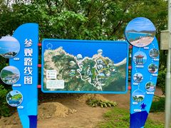 -广东惠东海龟国家级自然保护区