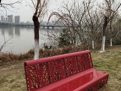 -艾溪湖湿地公园