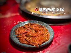 -谭鸭血老火锅(漳州路店)