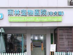 -雨林宠物医院 非犬猫异宠专科