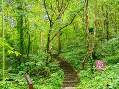 -南山风景名胜区