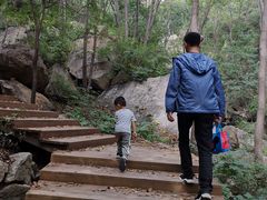 -大岭沟猕猴桃谷风景区