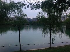 -天鹅湖体育公园