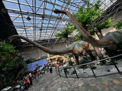 -国家自然博物馆