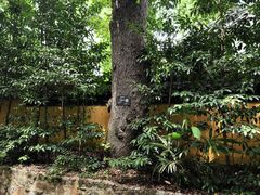 -兴福老面馆(寺路街店)