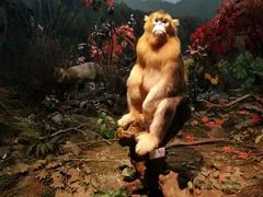 -陕西自然博物馆