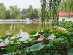 -丰台花园