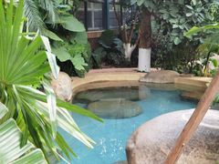 -稷泽·海丽宾雅温泉度假酒店