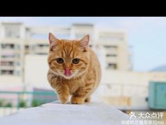-可颂坊(中心书城店)