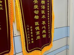 -中农国际动物医院24小时·猫科·骨科·急重症中心