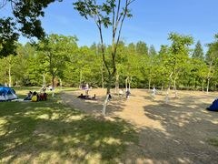 -上海海湾国家森林公园