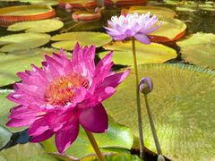 -国家植物园南园