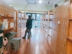 -猫十亿·布偶金渐层·曼基康矮脚猫舍(青年路店)