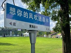 -黄海国家森林公园