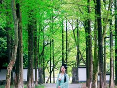 -严子陵钓台(富春江小三峡)