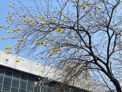 -万达广场(厦门湖里店)