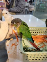 -Moni星球萌宠·小马宝莉·灵蛇·高端高阶全萌宠互动体验俱乐部(红豆国际广场店)