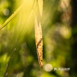 东湖日记 | 2021.09.14 | 晴