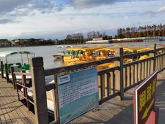 -上海长兴岛郊野公园