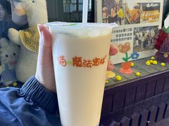 -猫的魔法密林(衣裳街店)