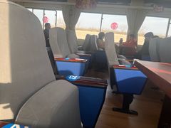-合肥滨湖国家森林公园