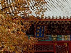 -香山公园