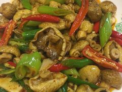 -清真益鑫羊肉手抓馆(南大街店)