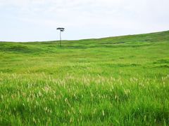 -恋山坝上草原