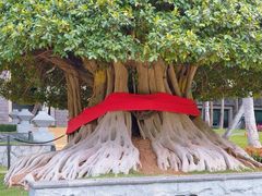 -海南清水湾莱佛士酒店