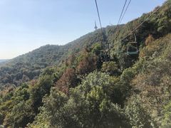 -MAMACHA妈妈茶(岳麓山店)