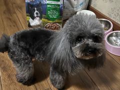 -FAELING PETS美天灵宠物(合生汇店)