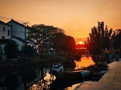 -莲花岛景区