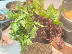 -芸山季·云南野生菌火锅(人民广场来福士店)