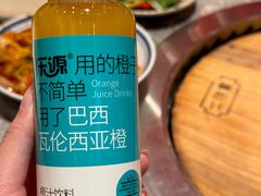 -二胖家铁锅炖大鹅(双井店)
