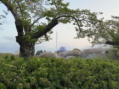 -舞鹤公园
