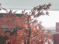 -牛New寿喜烧(闵行龙湖天街店)